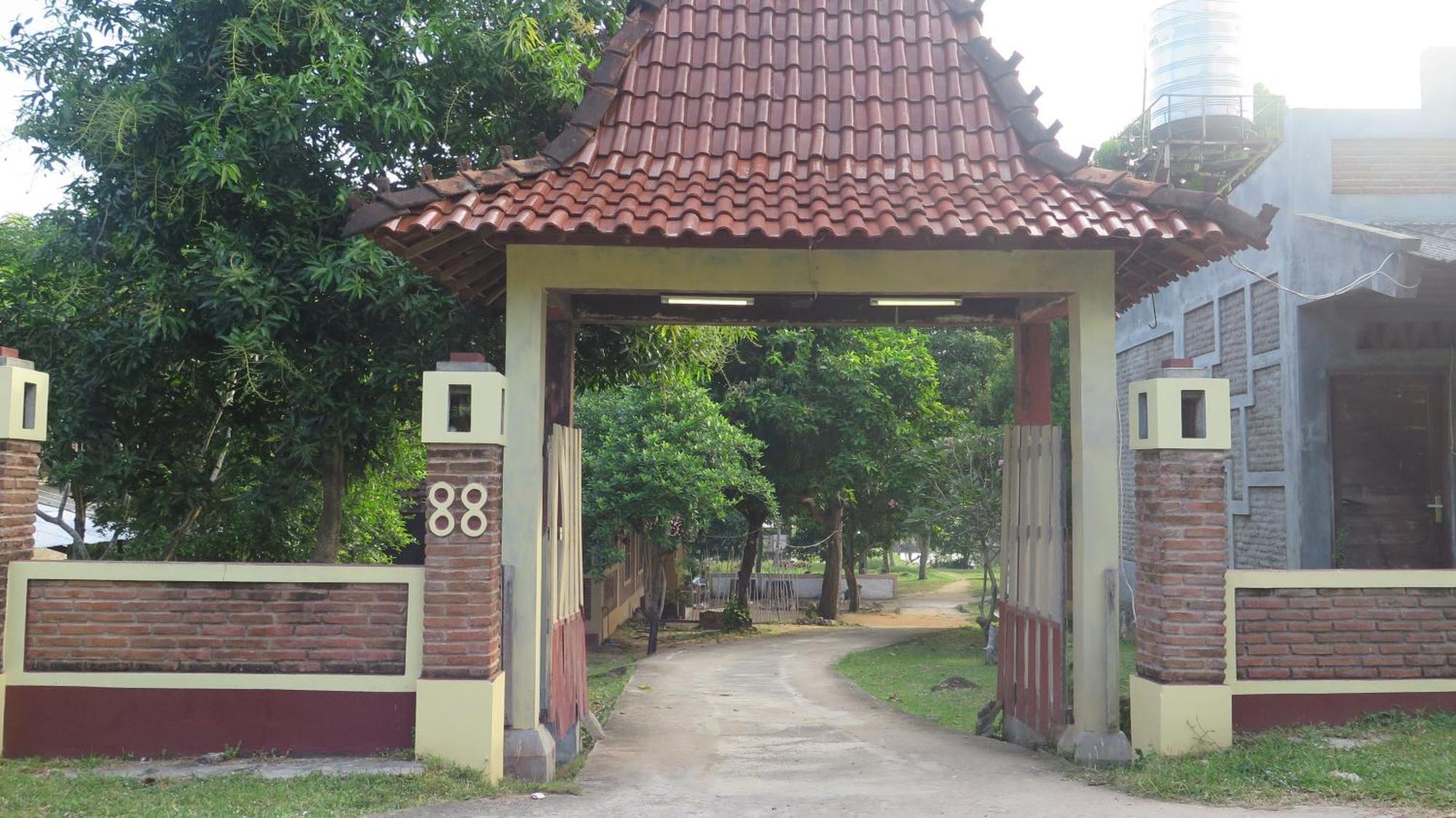 Mangrove Inn Karimunjawa Exteriér fotografie