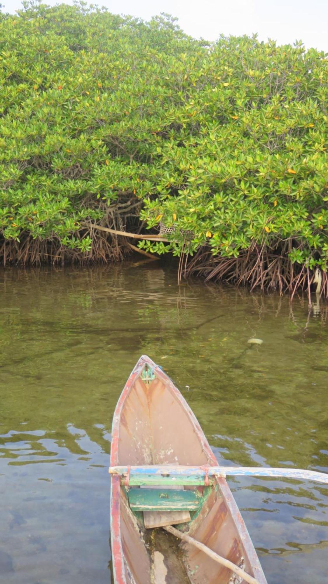 Mangrove Inn Karimunjawa Exteriér fotografie