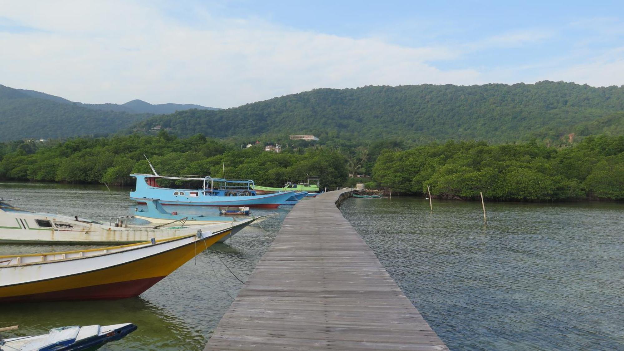 Mangrove Inn Karimunjawa Exteriér fotografie