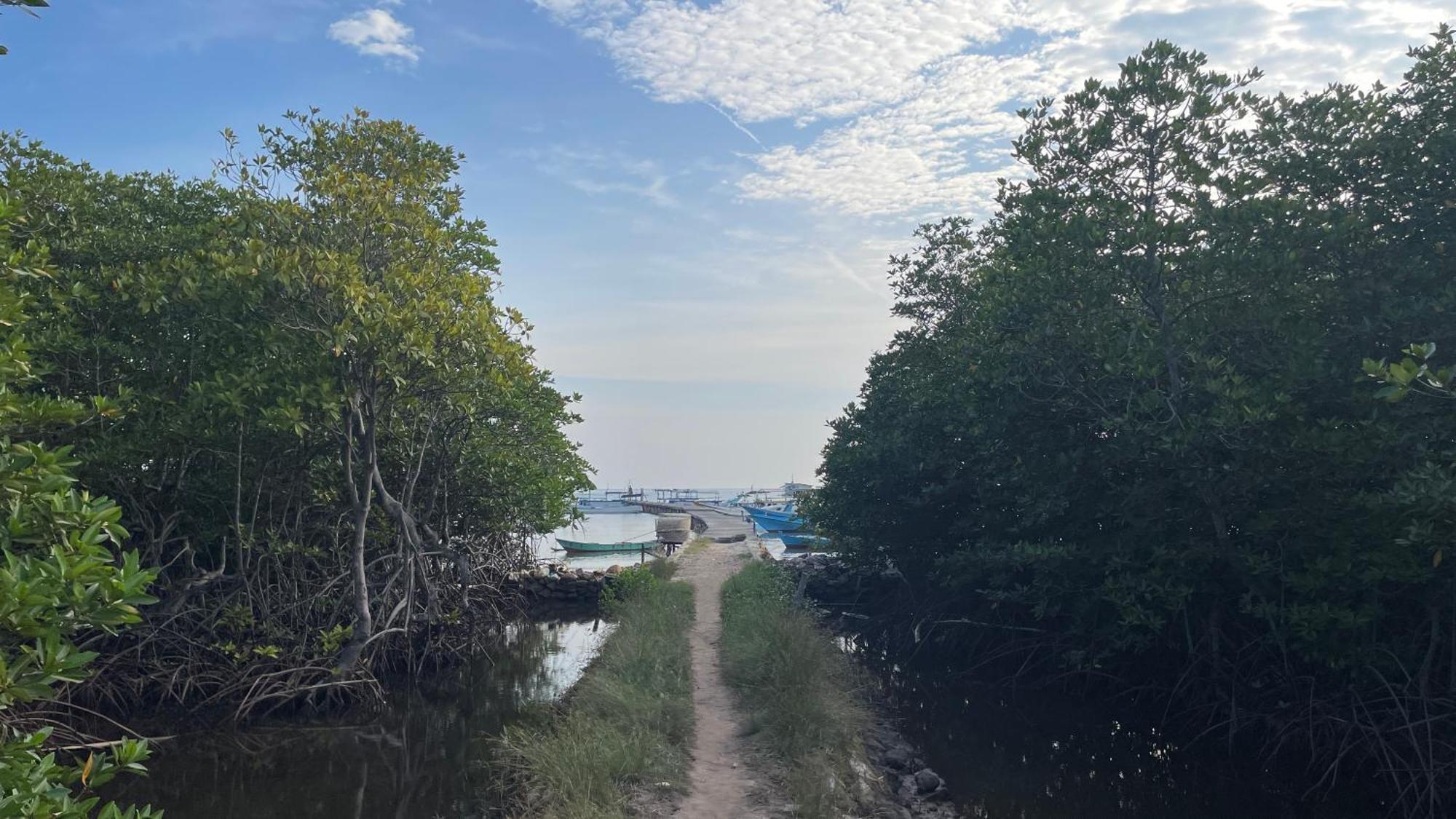 Mangrove Inn Karimunjawa Exteriér fotografie