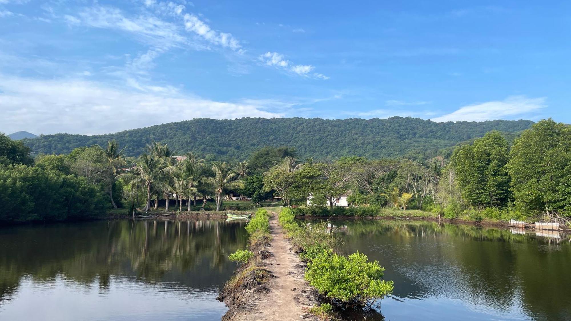 Mangrove Inn Karimunjawa Exteriér fotografie