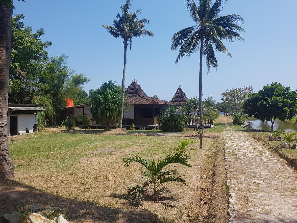 Mangrove Inn Karimunjawa Exteriér fotografie