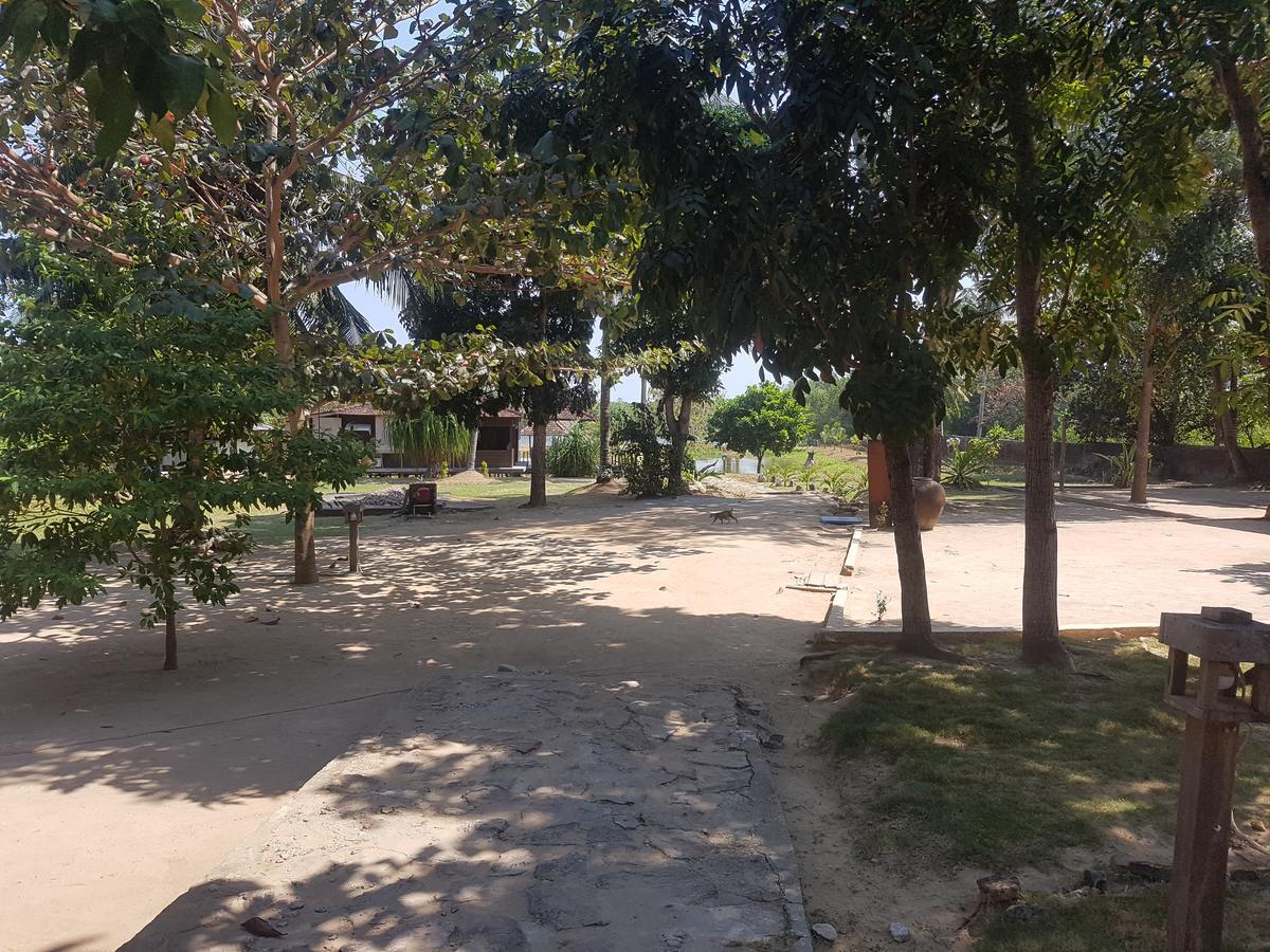 Mangrove Inn Karimunjawa Exteriér fotografie