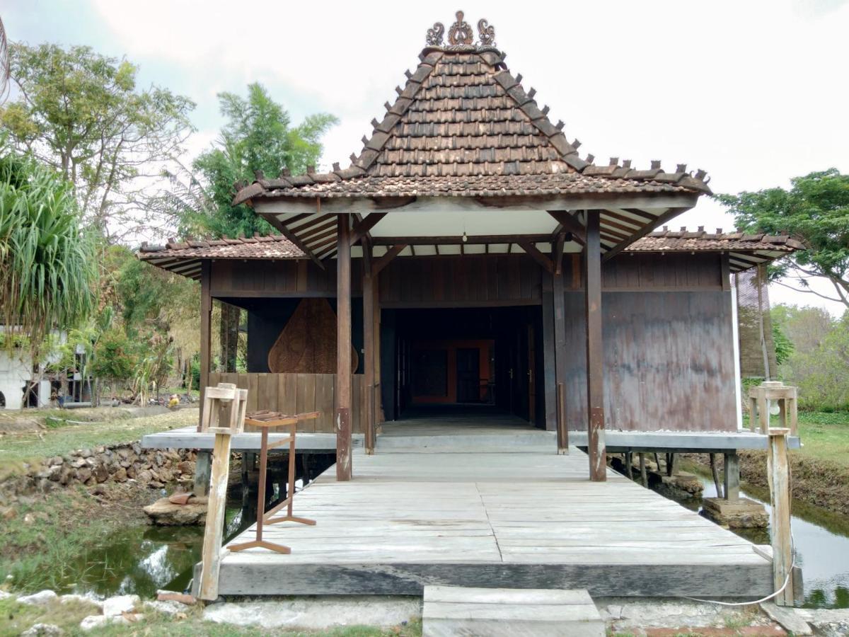 Mangrove Inn Karimunjawa Exteriér fotografie